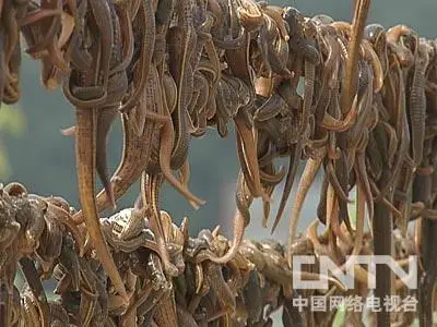 Hot Sale CT-C Series Hot Air Circulation Leech Dryer