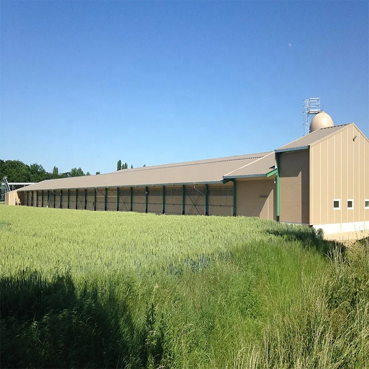 Quick Assemble Commerical Complete Controlled Poultry Shed for Chicken Farm