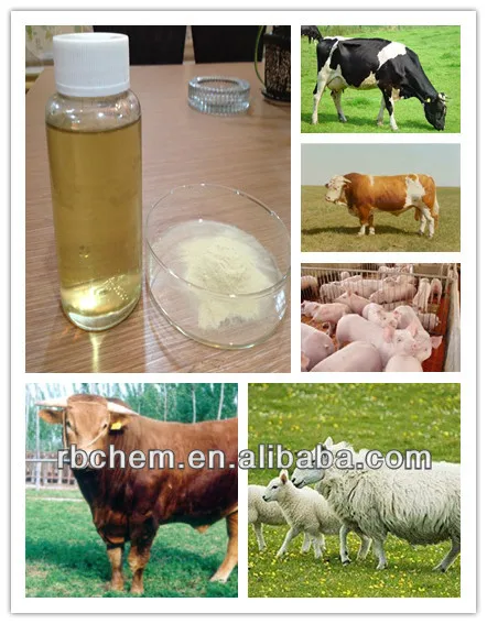 plant and animal amino acid powder for feed additives