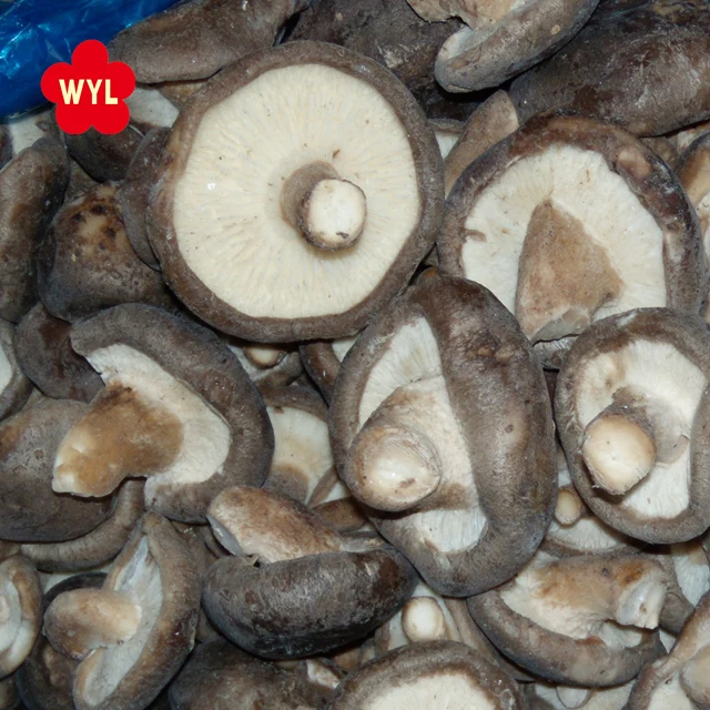 Высококачественные оптовые цены замороженные грибы Shiitake оптом для продажи в Китае