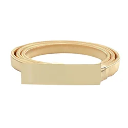 Metal Plate Elastic Chain Belt