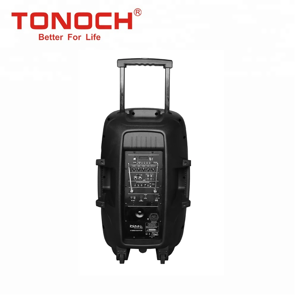 TONOCH 15 inch P series high power sound professional amplifier module