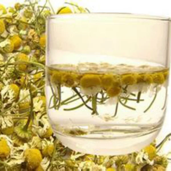 Greek Chamomile, Camomile, Dried flowers Natural