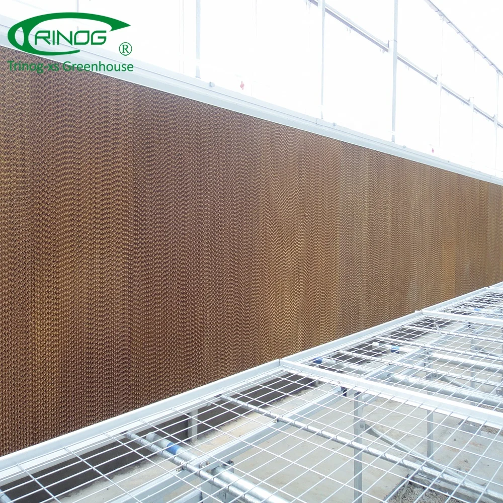 Venlo aluminium glass greenhouse framegreenhouse agriculture hydroponic for farm