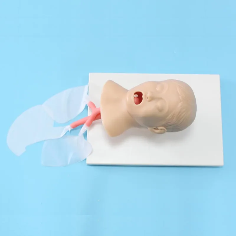 With Alarm Device Airway School Teaching Manikin Neonate Infant Trachea Mode ADA-j50 Classical Intubation Training Model