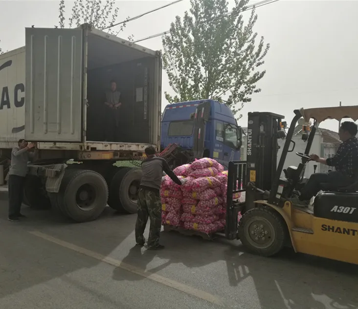 Chinese Spicy Vegetable Garlic