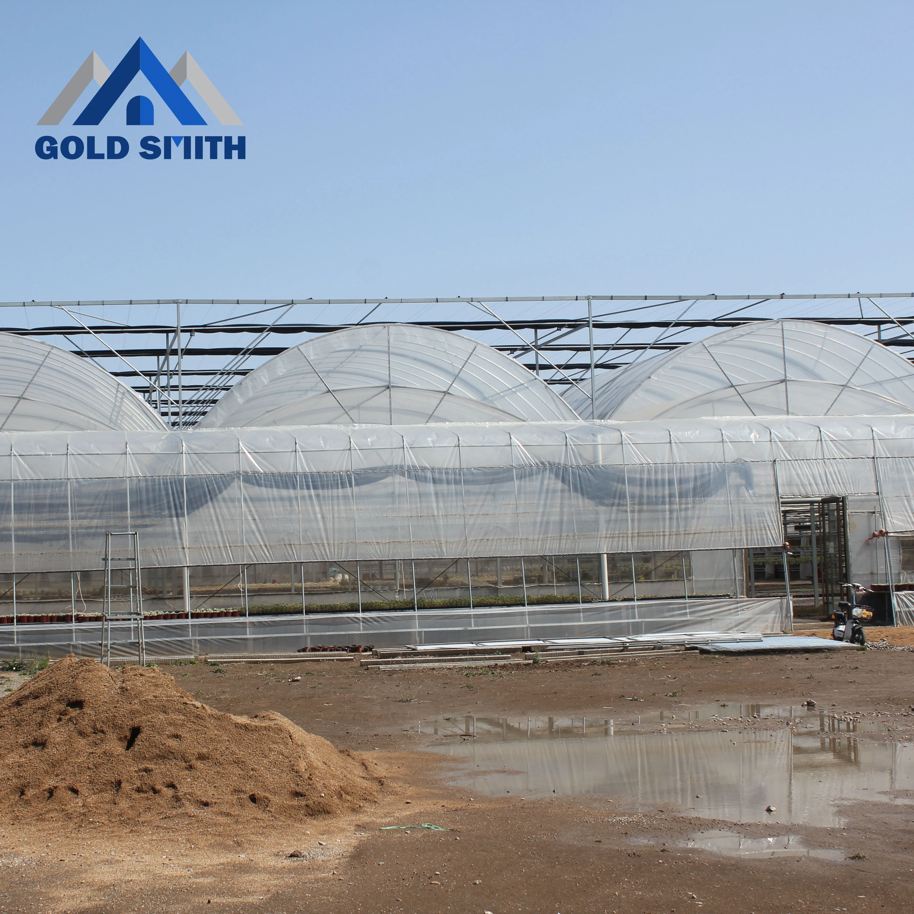 Commercial Multi-span Film Tunnel Agriculture Greenhouse with Hydroponic System