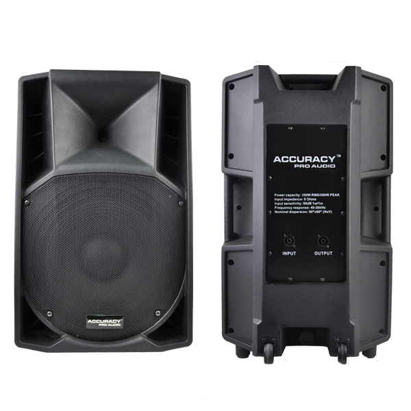 Accuracy Pro Audio CSW15 Professional 15 Inch Passive Powered Speaker China for Stage
