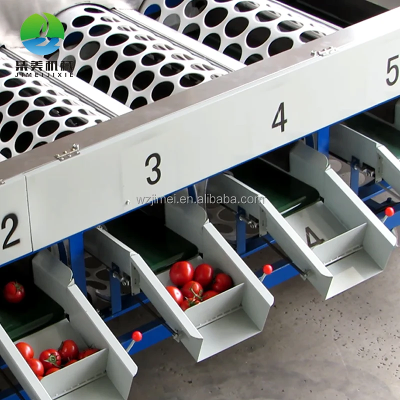 
Automatic fruit Citrus tomato sorting machine / selection machine 