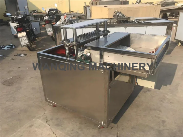 Dates pitting machine factory promotion sale