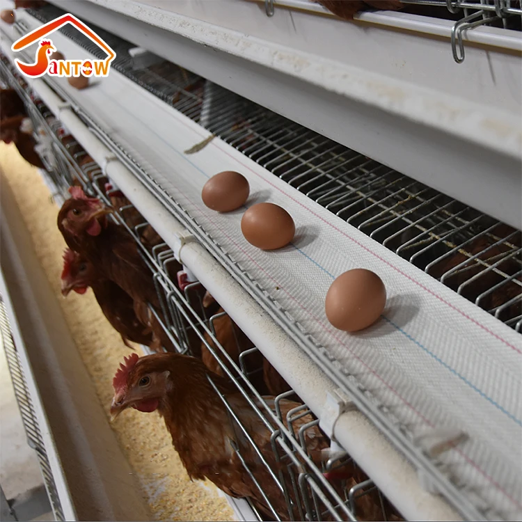 Factory sale battery cages laying hens African automatic chicken cage for 1 day old chicks farm