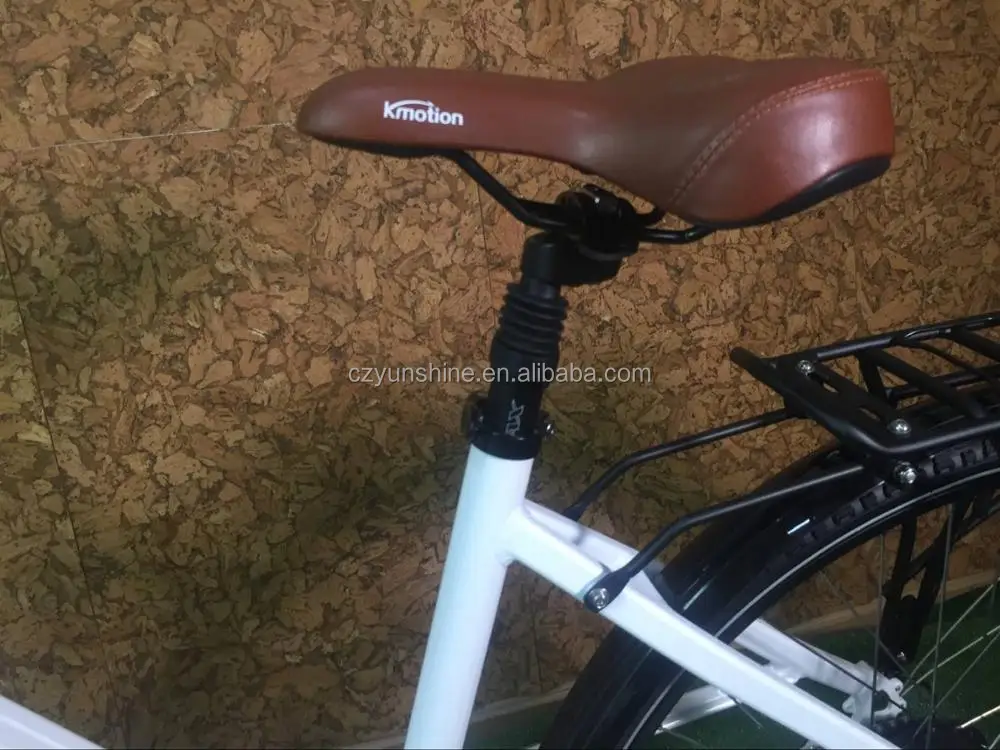 
Country woman, canada electric ebike with speedometer 