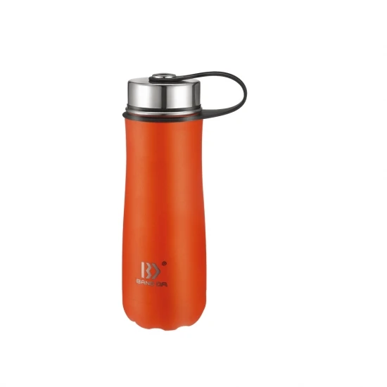 China Stainless Steel Milk Vacuum Thermos Bottle With Handle