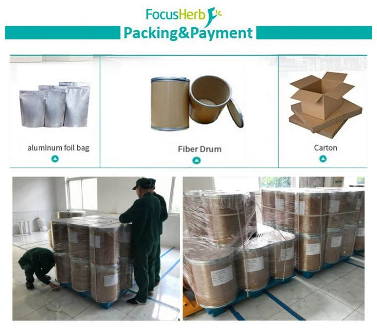 
Food Additives Amylase Enzyme, Diastase 