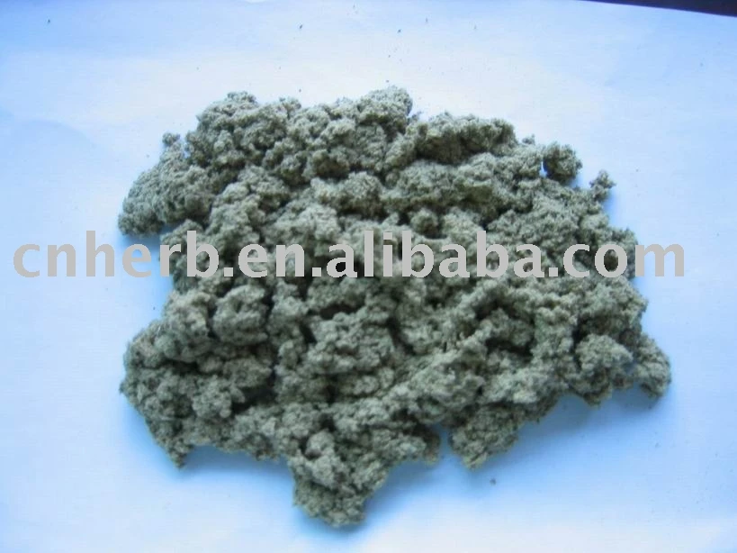 
100% Natural Villiform Argy Wormwood Leaf 