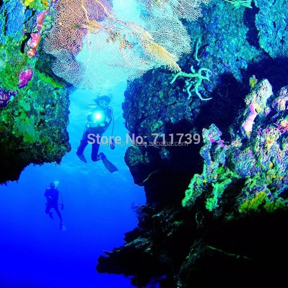 Alonefire DV55 3x XM-L2 Led 30W High power diving flashlight 100m Underwater Dive fill light Torch Outdoor hunting lighting lamp