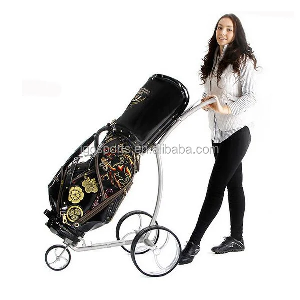 electric golf trolley motor