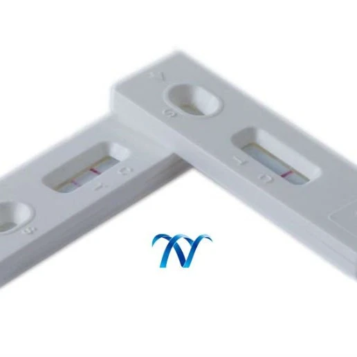 
ISO Certificate Quinolones rapid test strip for eggs 
