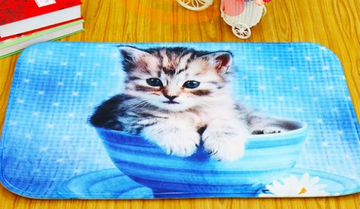 Fashion Factory Customized Design Doormats Dropshipping Support china supplier blank doormats