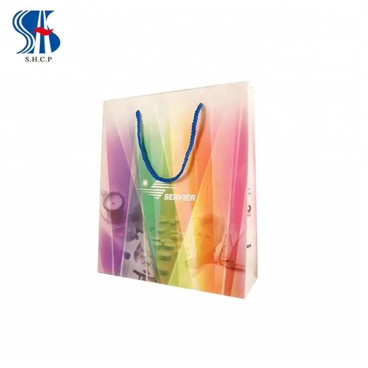 
Hot Sale Colourful Fashion Shopping Gift Paper Packing Bag 