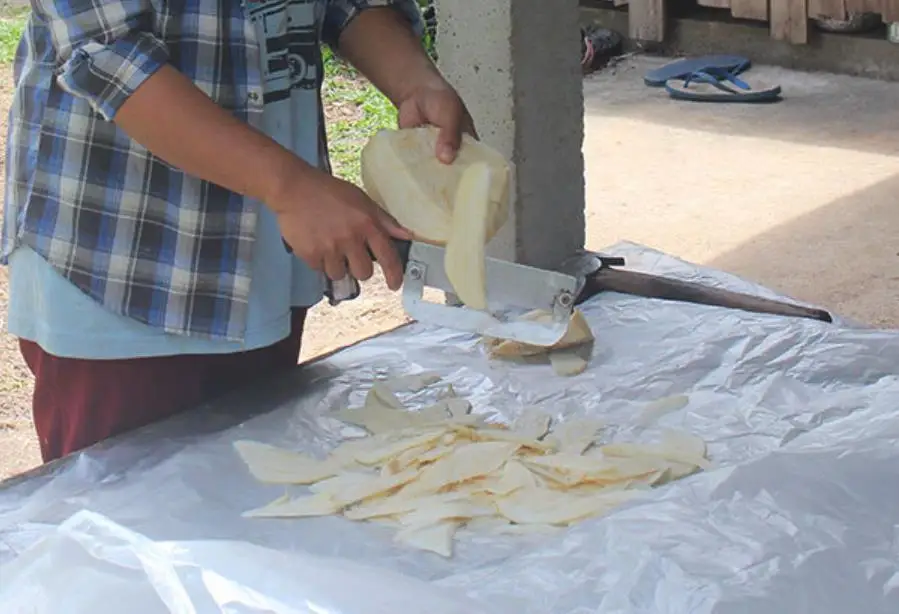 Hotsale raw dried kwao krua root slices kwao kreu for tea