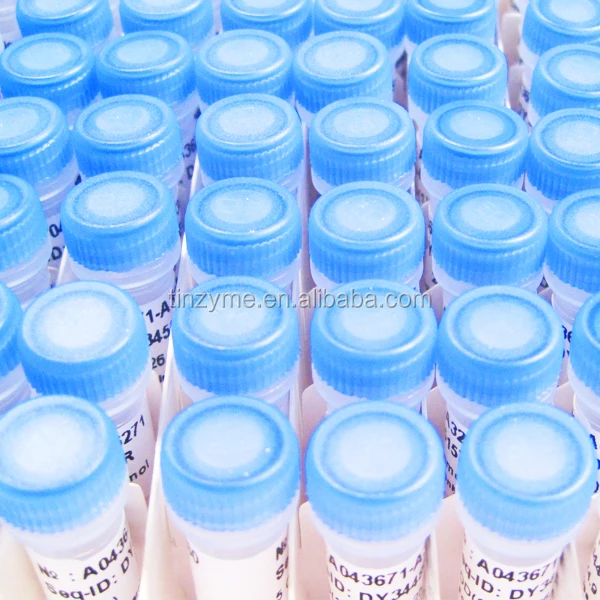 
Custom Oligo synthesis,oligo syntheis service 