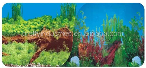 Professional aquarium background with wholesale price