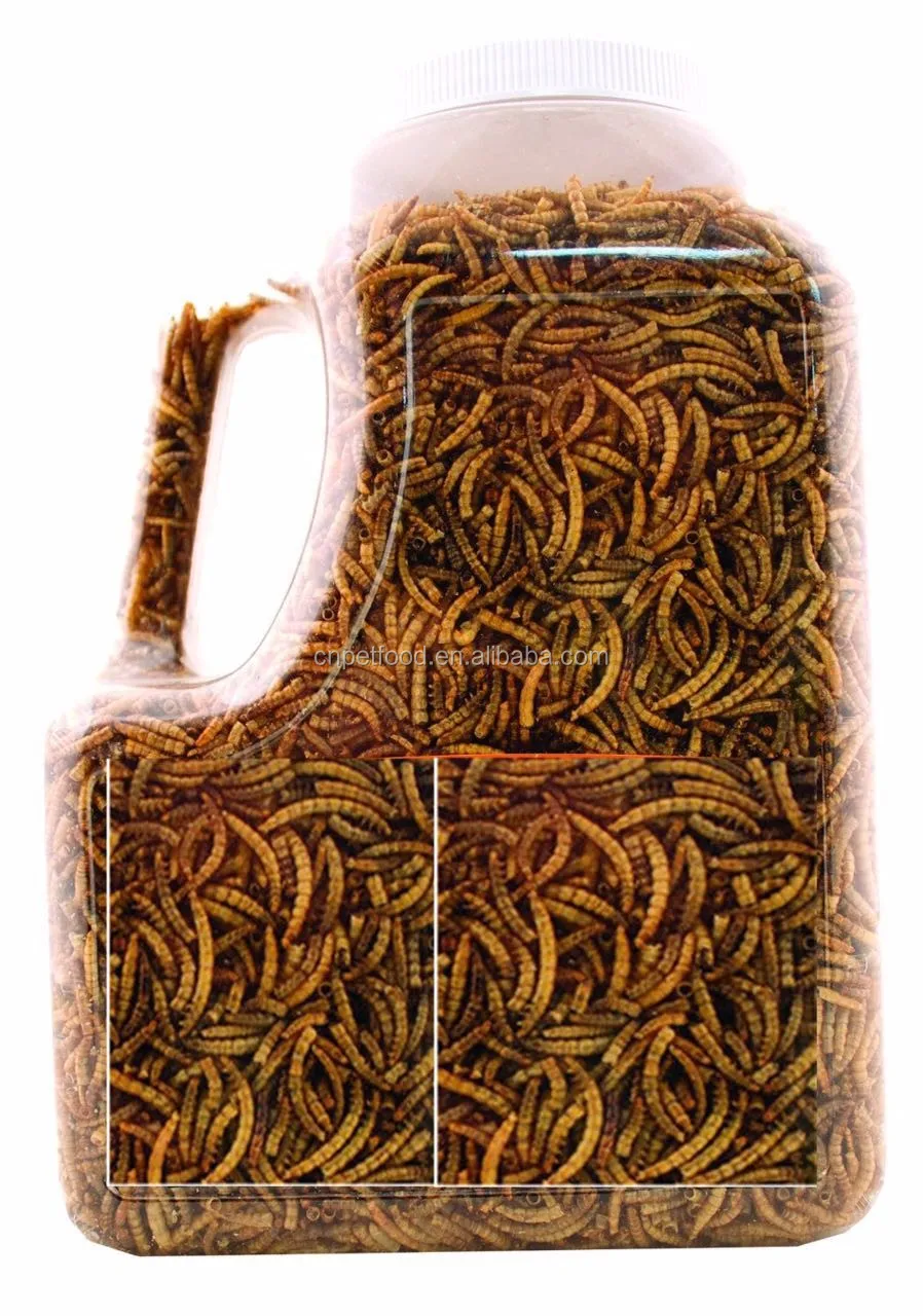 
Natural Dried Mealworms Poultry Feed Animal Feed 
