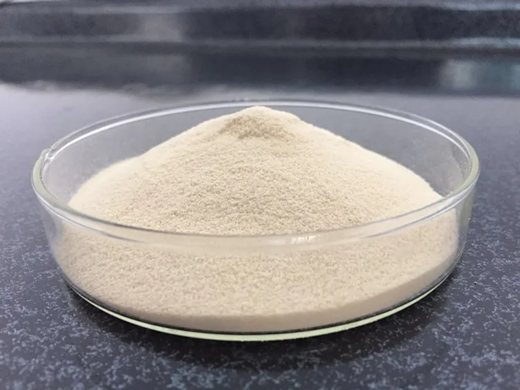Animal skin protein gelatin powder for make-up products
