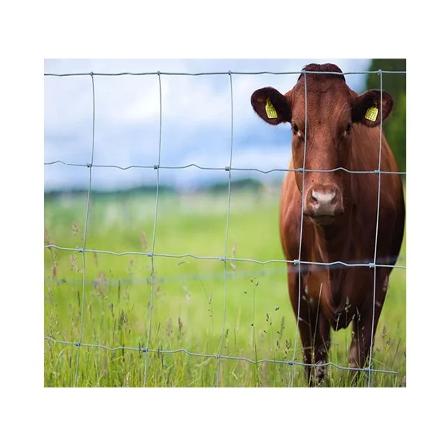 Hot dipped galvanized fixed knot field fencing for deer fence