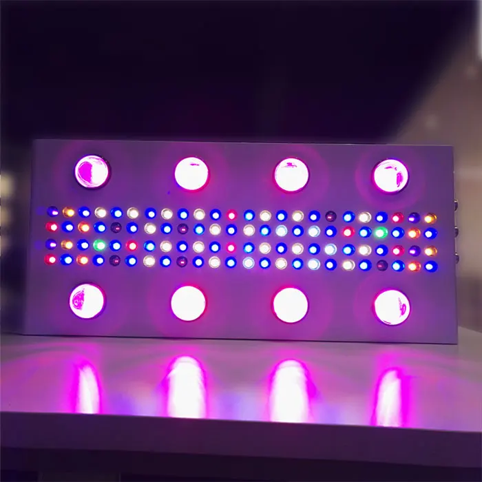 
hydroponic induction cxb3590 diy high power led grow lights 2000w for commercial crop grow light led grow 