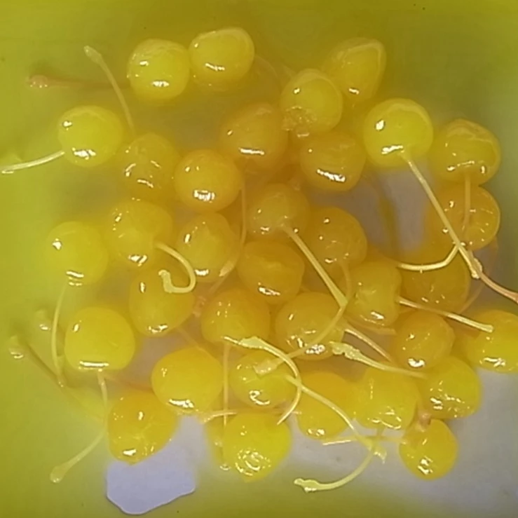 New crop Chinese canned maraschino  cherries  cocktail cherries red green blue yellow  in heavy syrup in jars 314ml  720ml