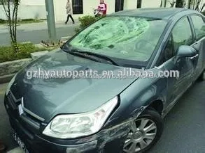 автомобильного стекла замена для всех типов автомобилей moldels