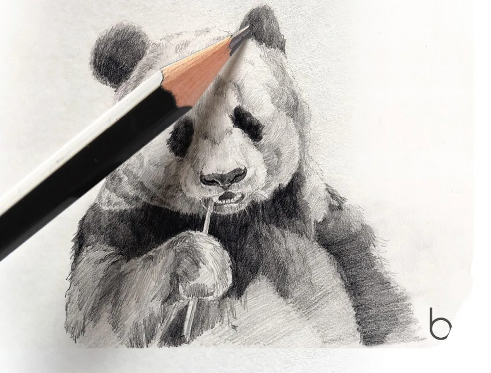 9B, 8B, 7B, 6B, 5B, 4B, 3B, 2B, B, HB, F, H - Precision Artist Graphite Pencils Drawing Kit