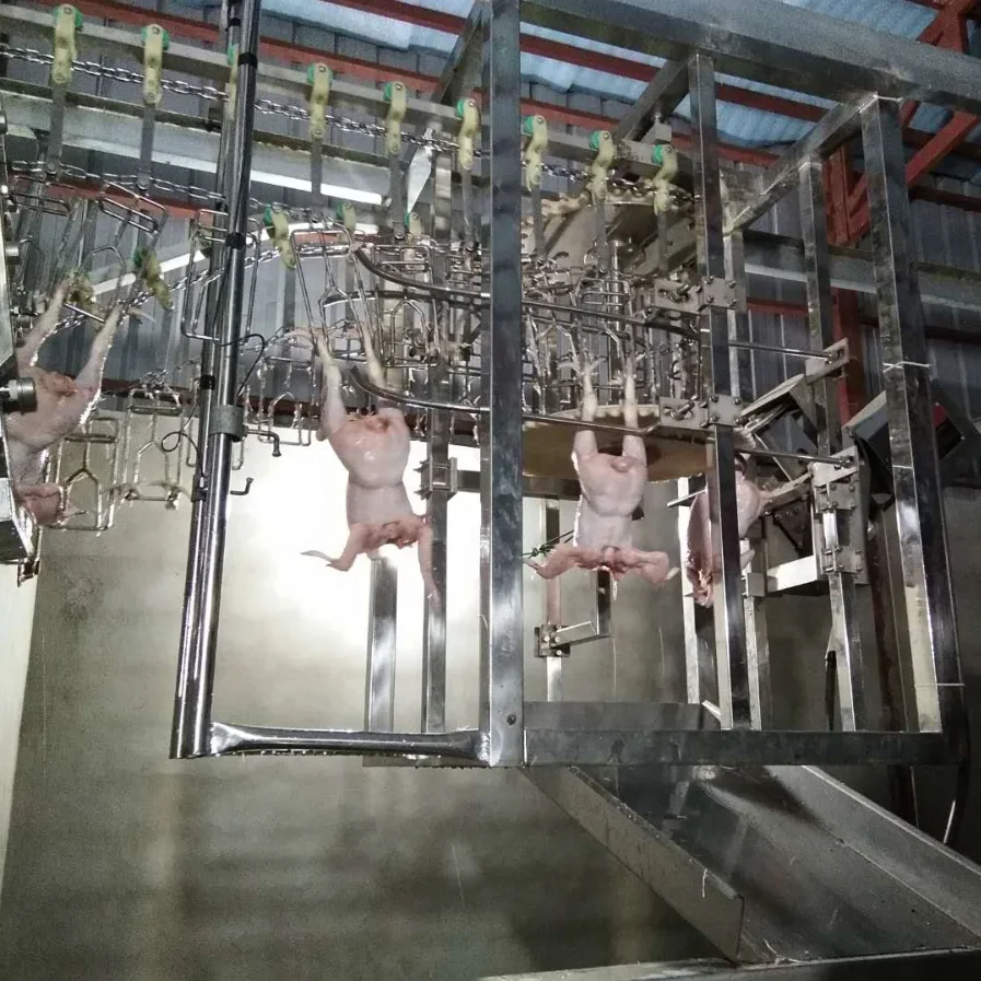 halal bird slaughter plant automatic poultry processing line unloader