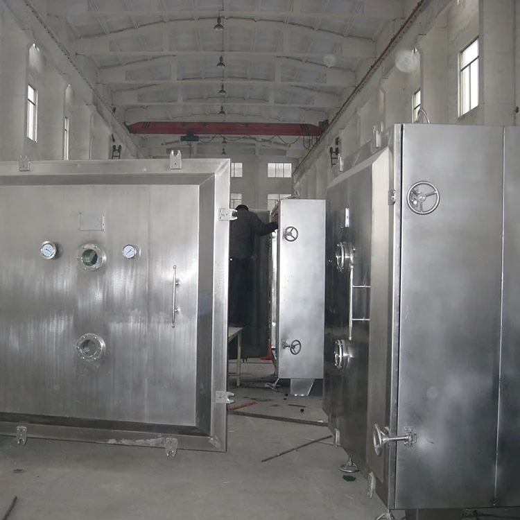 FZG model industrial fruit tray vacuum dryer machine