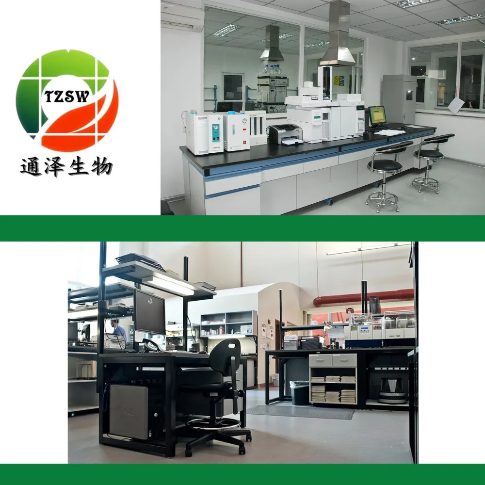 
Chinese herbal medicine Tribulus Terrestris Extract 90% Saponins Powder 