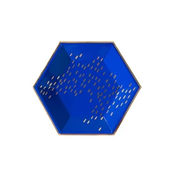 Partybus Fashionable Disposable Bio-degradable Hexagonal Blue Party Paper Plates
