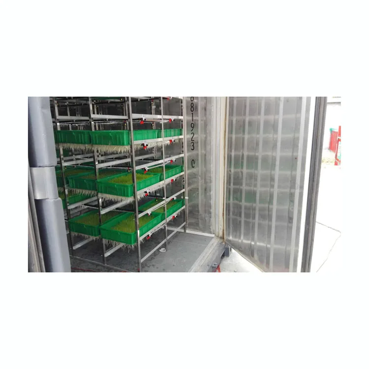 cow farm large hydroponic fodder system for growing barley bean garlic