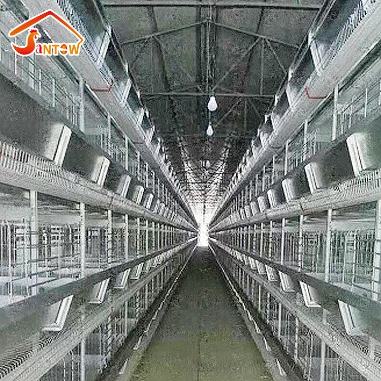 4-Tier Chicken Layer Cage/A Type, 4 Tiers, 128 Birds Chicken Cage with automatic feeding system wholesale chicken cage