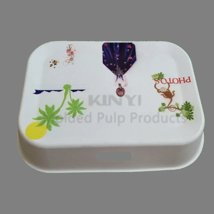 Custom biodegradable paper pulp molded packaging box with print