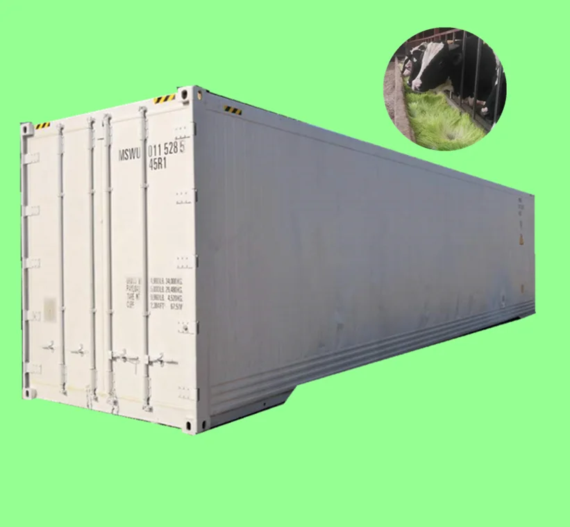 Feed machine hydroponic system container hydroponic system container seedling and seed germination machine barley green feed