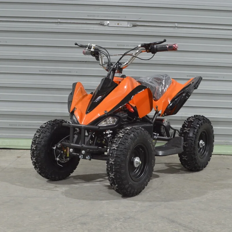 2019 дешевые 800 Вт Электрический мини-Квадроцикл для детей