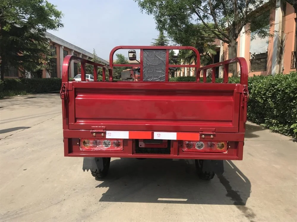 China factory 200cc moped motorized van cargo gasoline  delivery tricycle