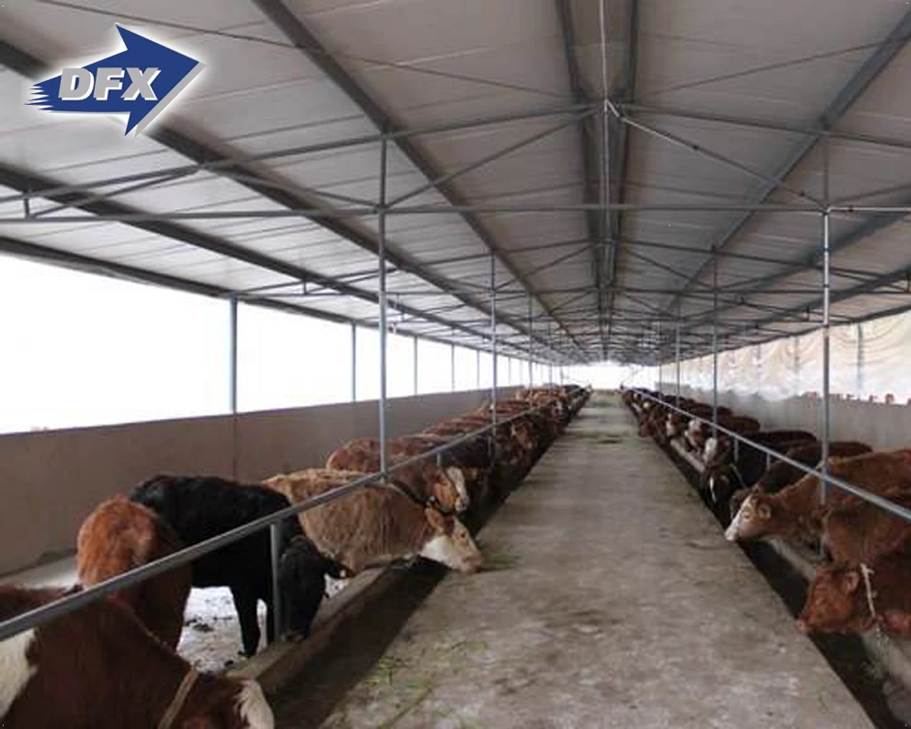 Металлический навес для крупного рогатого скота с оборудованием молочной фермы