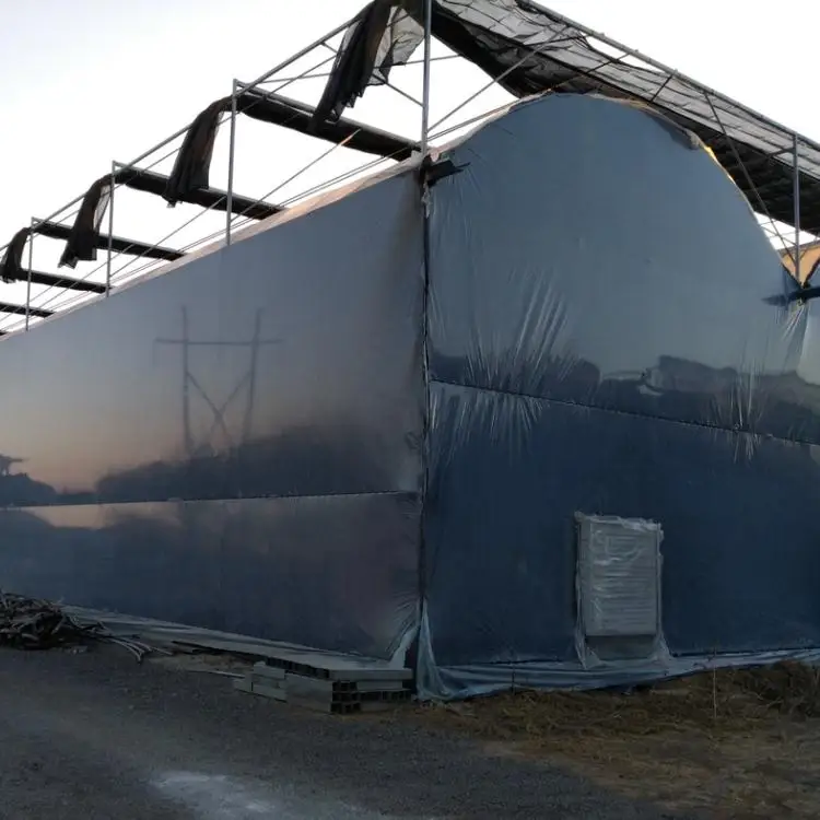 Agricultural Greenhouse With Blackout Curtain
