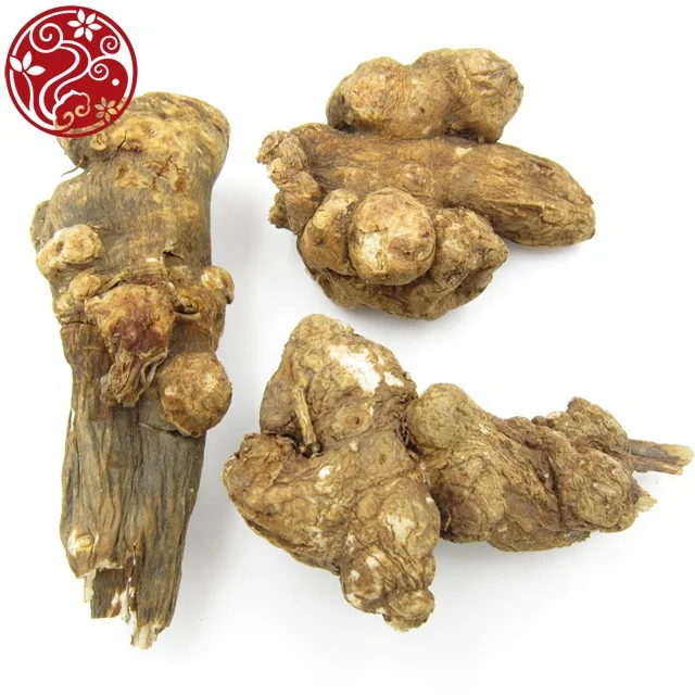 
white atractylodes root Bai zhu Whole medicinal herbs chinese herbal 