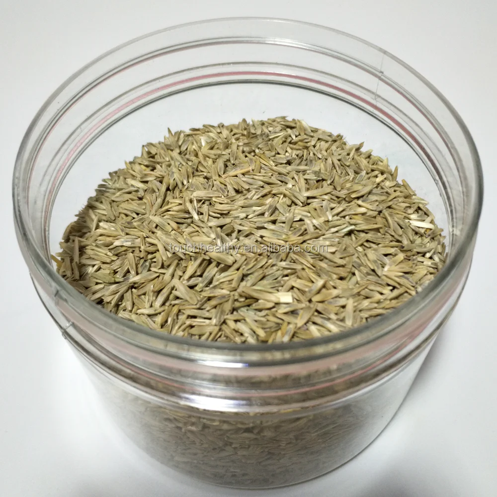 2021 Touchhealthy supply annuals grass seed,ryegrass seed