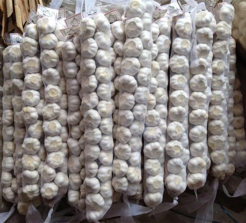 
buy garlic dry garlic wholesale with best price 