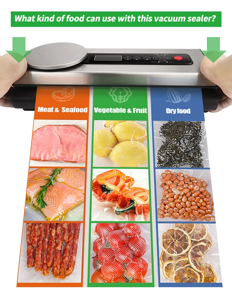 12V/240V Stainless Steel Vacuum Food Sealer For Indoor And Outdoor Use